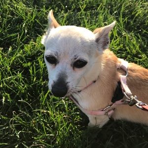 Meet your Posher, Yen